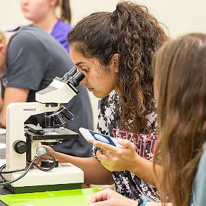 biochemistry and molecular biology student looking through microscope