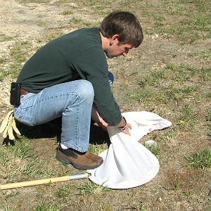 Photo of biology student collecting sample