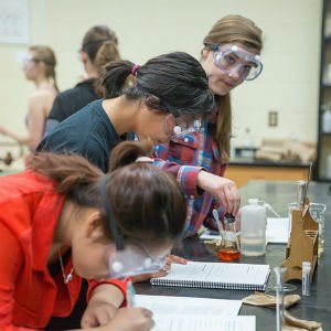 Chemistry students deeply engaged in class experiment
