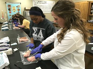 Photo of HSU students dissecting pig's feet in biology lab.