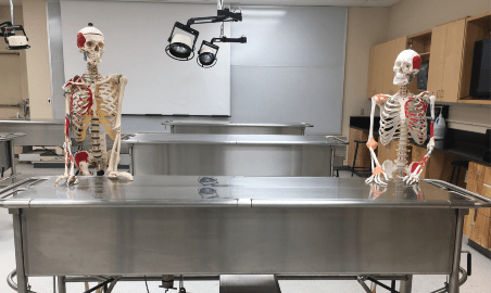 Anatomy Lab