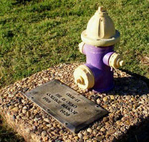 The fire hydrant memorial recognizing HSU's former mascot, Dam-It the dog.