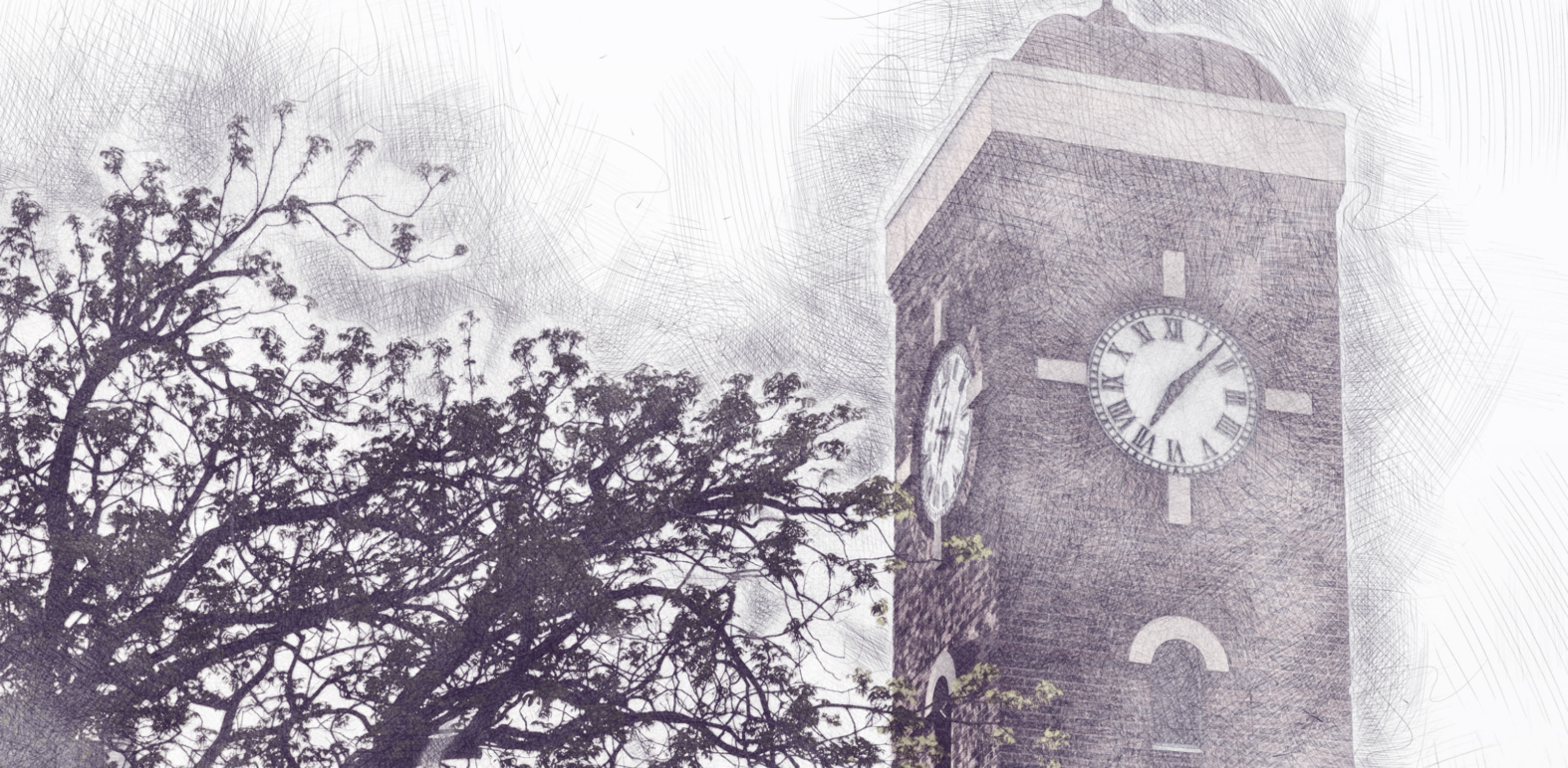Meridian Fellows Program
