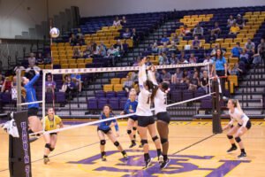 HSU's volleyball team blocks the ball.