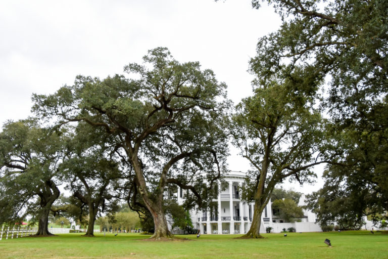 HSU Mississippi Cruise big house