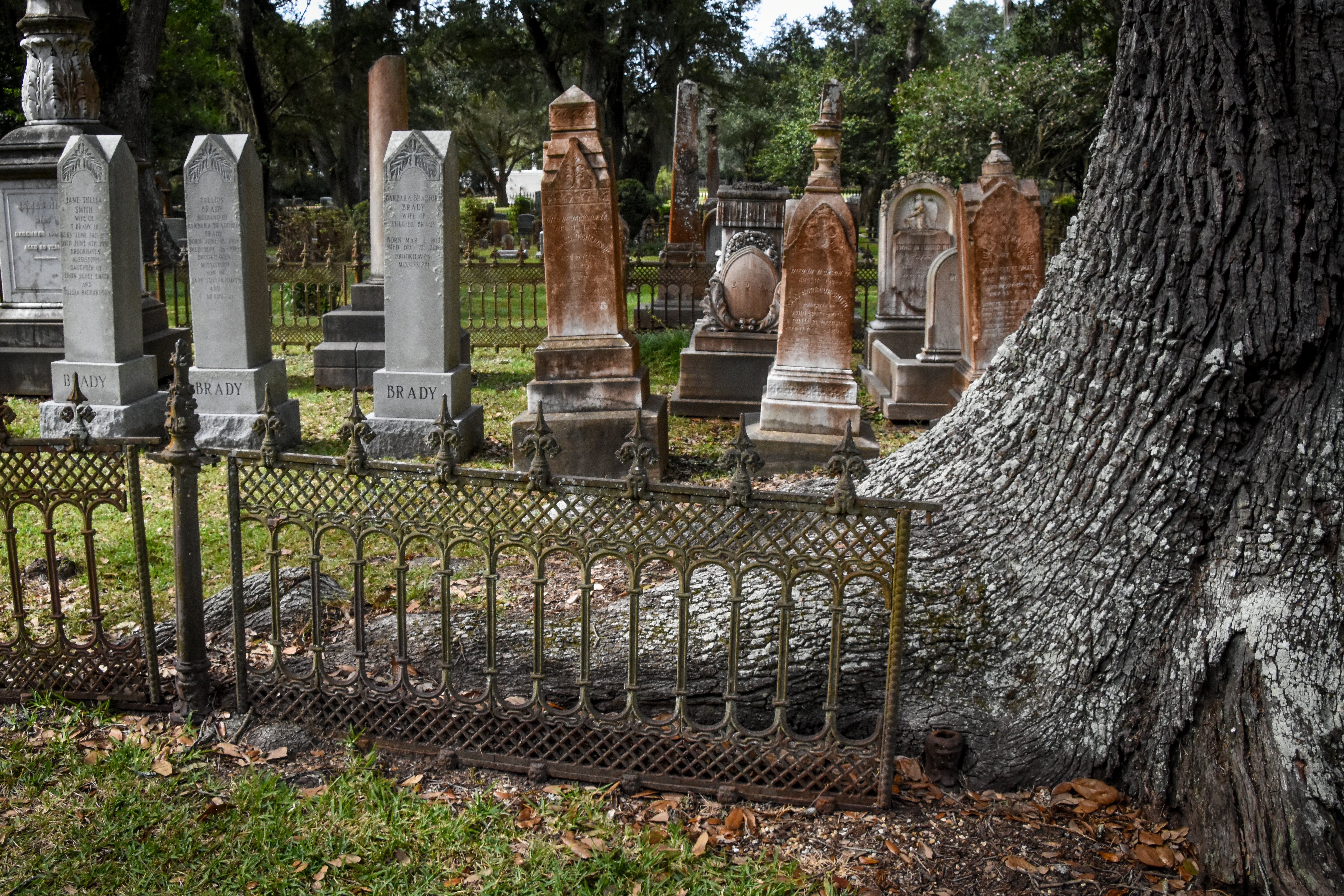 HSU Mississippi Cruise cemetary