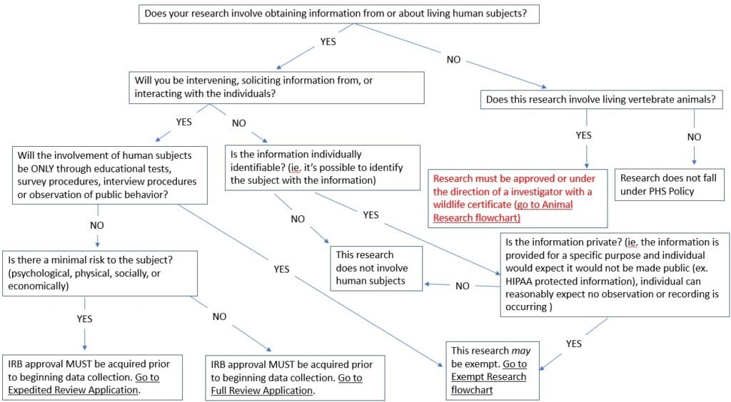A flow chart for the Institutional Review Board process.