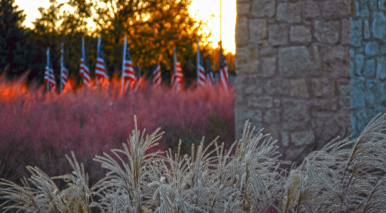 "Patriots" by Tim Chandler