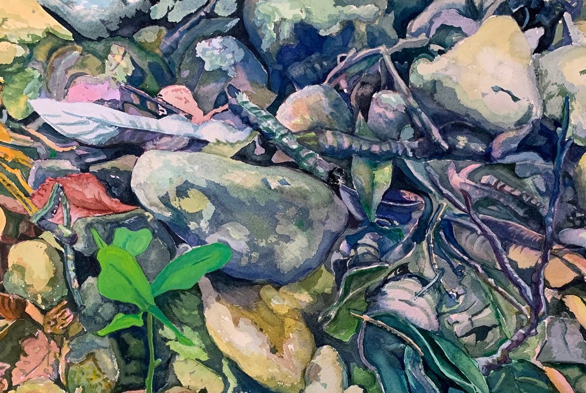 A painting by Linda Fawcett of sticks, leaves, and rocks.