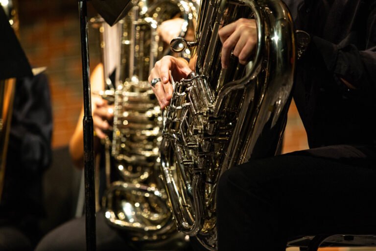Low brass instruments such as tubas and euphoniums were celebrated in Oktubafest.