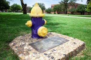 A purple and gold fire hydrant and plaque memorialize Dam-It the dog. The plaque reads, “Dam-It. He is dead. College Mascot 1916-1920.”