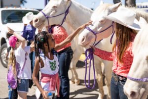 Students visit with the Six White Horses during a Western Heritage Day celebration.