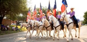 The Six White Horses & riders in a parade.