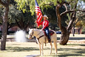 A six white horse rider holds the American flag.