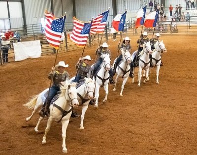 Six White Horses at a rodeo.