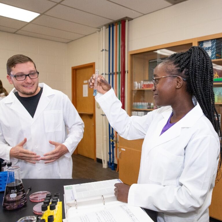 Students work in a chemistry lab.
