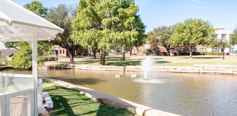 Photo of the pond on campus.