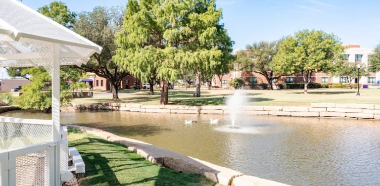 Photo of the pond on campus.