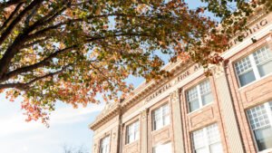 Fall color leaves outside of Caldwell Hall