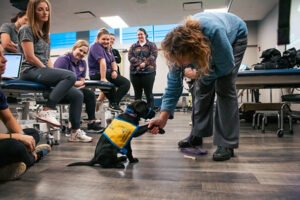 Greer learning to "shake" in Nov. 2021.