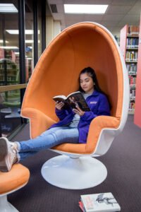 Egg chair in the library