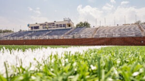 A close up of the updated turf.