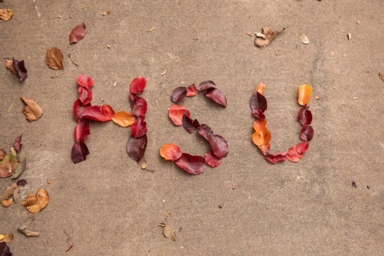Leaves that spell HSU on the ground.