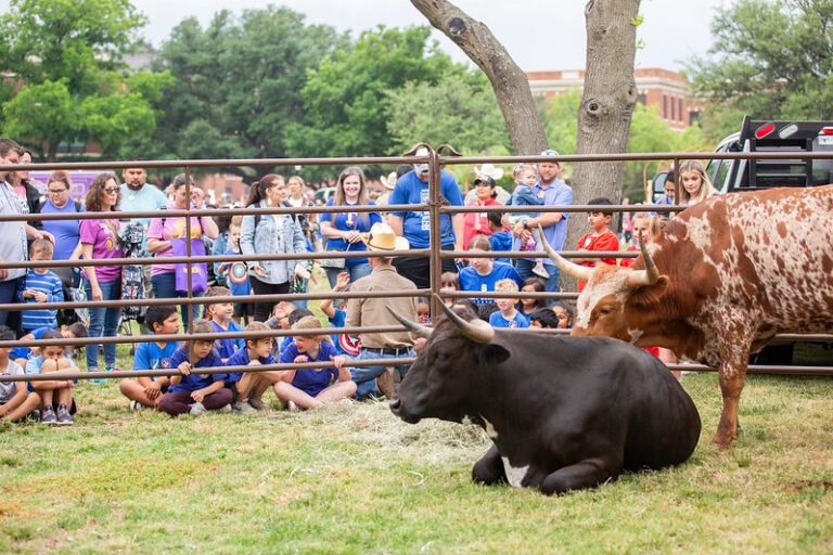 Western Heritage Day aims to educate and celebrate the culture of the Big Country’s past through interactive demonstrations and hands-on learning.