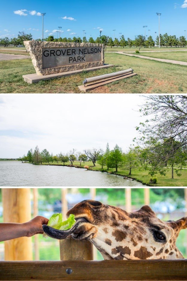 Zoo and Grover Nelson