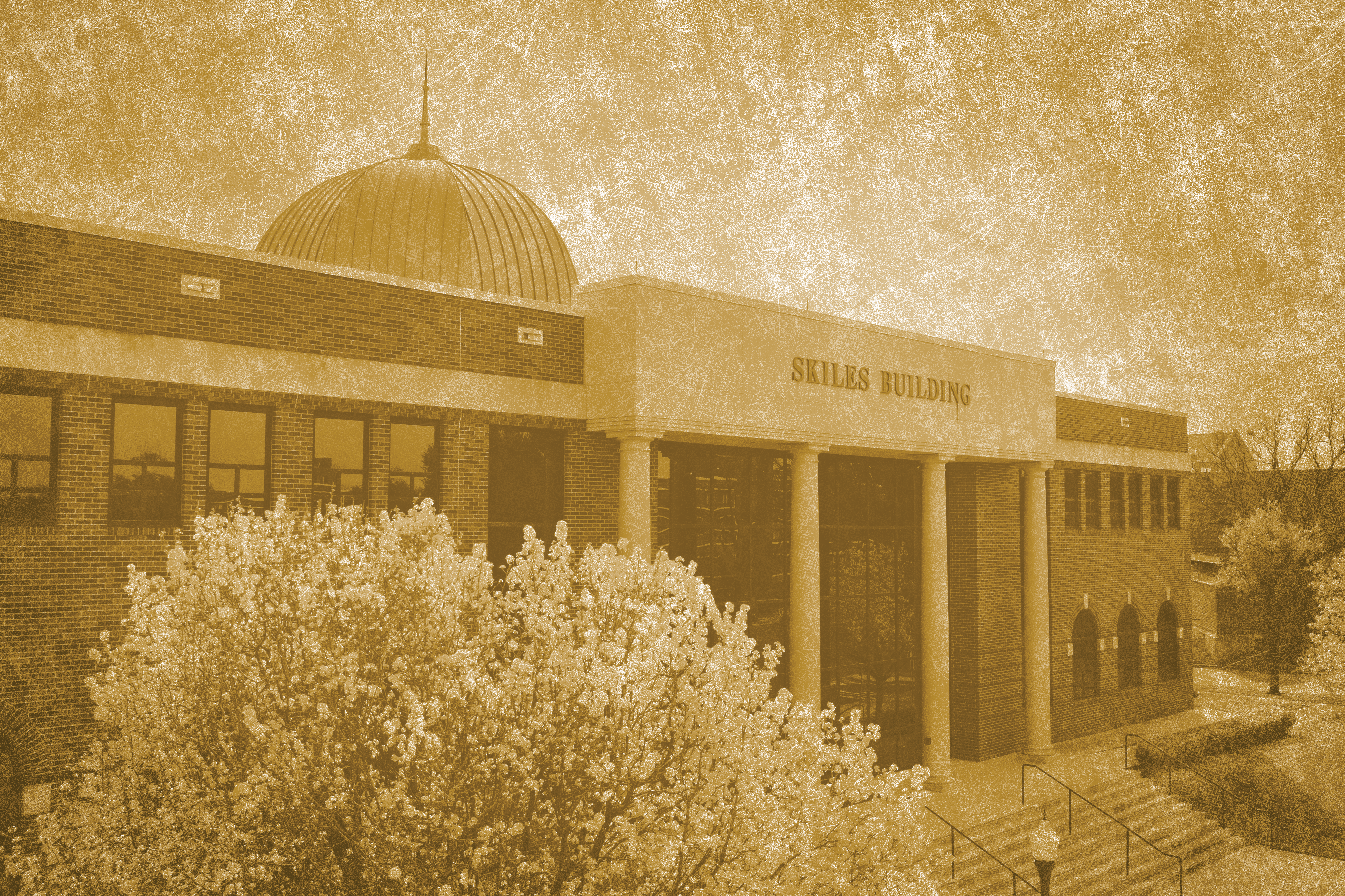 Cynthia Ann Parker College of Liberal Arts