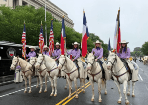 Six riders carrying flags on six white horses in the street.